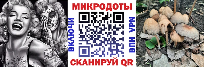 магазин  наркотиков  Тбилисская  Галлюциногенные грибы Magic Shrooms 